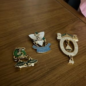 😄Collectors brooch pin bundle lionesses club